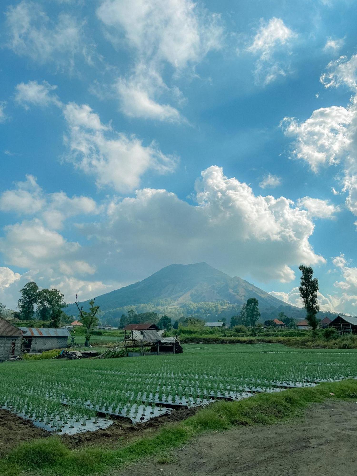 Volcano Garden Kubupenlokan Dış mekan fotoğraf